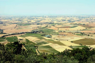 landscape beyond Montalcino.jpg