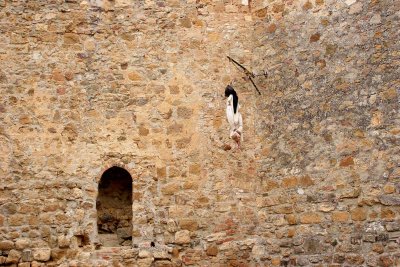 Hanging figure in San Quirico.jpg