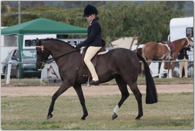 Laidley Show 13 Jul 08 033