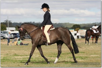 Laidley Show 13 Jul 08 052