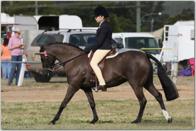 Laidley Show 13 Jul 08 055