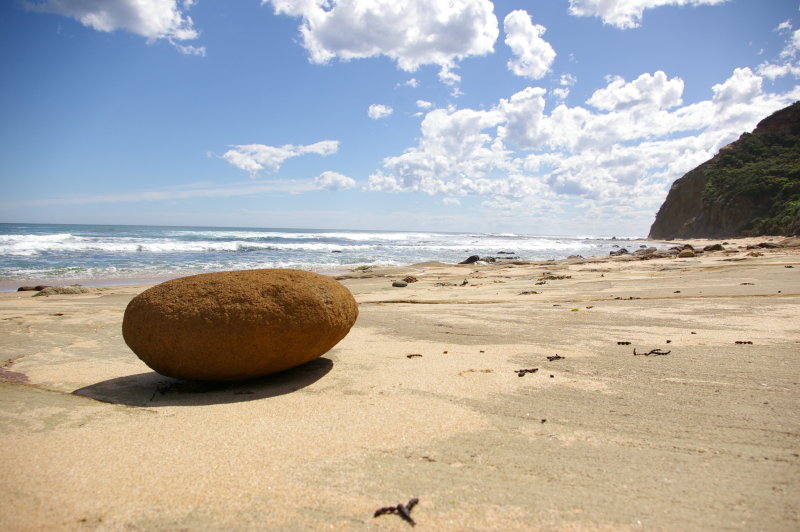 Along the Great Ocean Road, VIC #5