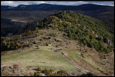 Sierra de Boumort  - Vulture territory