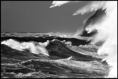 Stormwaves at Corvo - The Azores