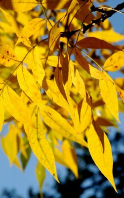 DSC_1551_edited-1.jpg