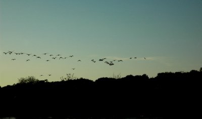 DSC_2452_edited-1.jpg