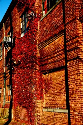 DSC_2580_edited-1.jpg