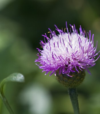 IMG_6993.jpg