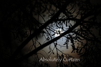Absolutely curtains 1972