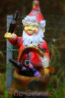 The Gnome 1967
