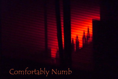 Comfortably Numb 1979