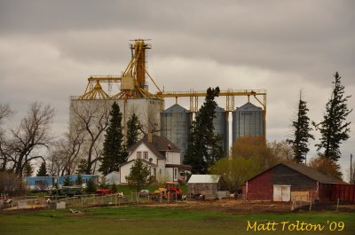 Ninga - May 2009