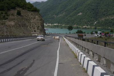 On the Georgian Military Highway
