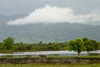 More Lao beauty