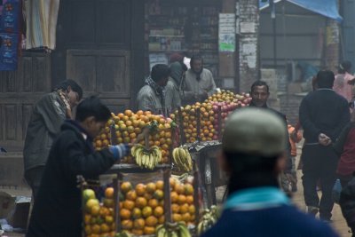 Citrus