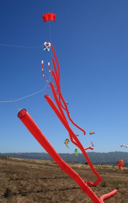 Red Tube kite email.jpg
