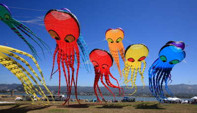 Octopi4 email.jpg