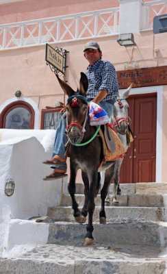 Oia donkeys2 email.jpg