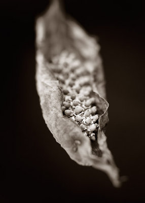 B_DSC0005edit.jpg