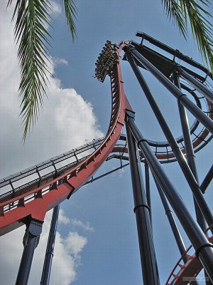 Busch Gardens Tampa Bay