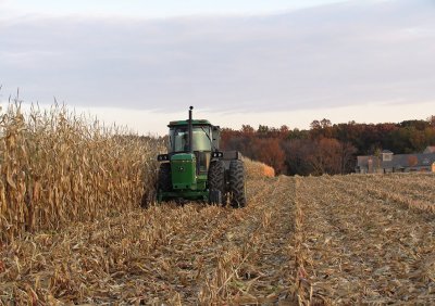CRW_6563_Harvesting the corn