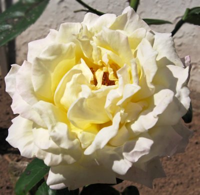g5/31/297331/3/67271550.7KbfdTnV.jpg