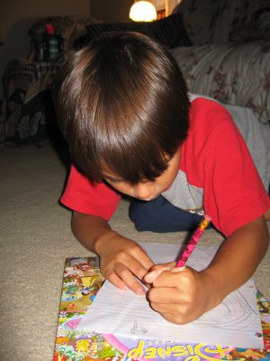 I love to draw