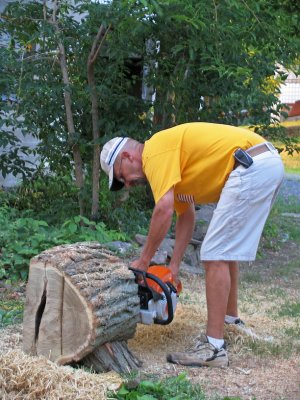 IMG_3759_ Cutting the Locus tree to make wood projects.