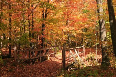 Minnesota Fall Color