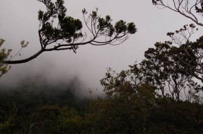 DSC_0836.JPG