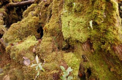 DSC_0849.JPG