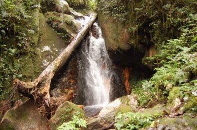 DSC_0867.JPG