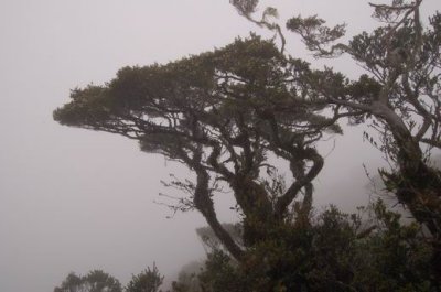 DSC_0921.JPG
