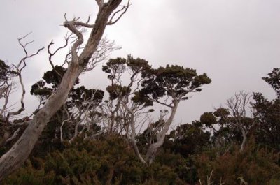 DSC_1002.JPG