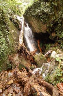 DSC_0868.JPG