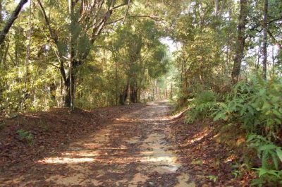 [02] Botanical Garden - Penang Hill via Step Trail 46