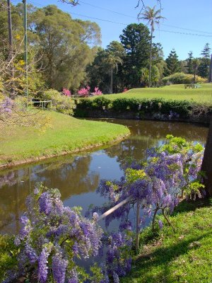 Parramatta Park - Wisteria Gardens