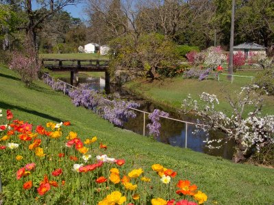 Parramatta Park - Wisteria Gardens