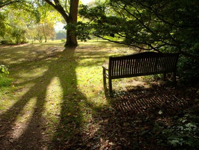 Batsford Arboretum, Gloucestershire