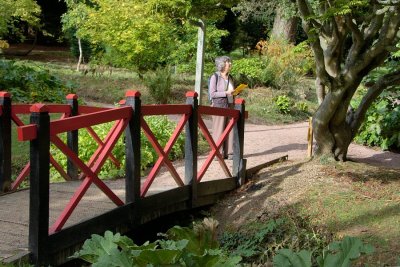 Batsford Arboretum, Gloucestershire
