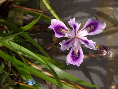 2009-05-23_MG_2176.jpg