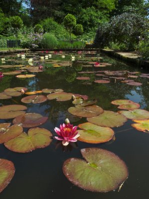 Hidcote Manor 06-2008(0002).jpg
