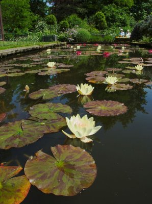 Hidcote Manor 06-2008(0003).jpg