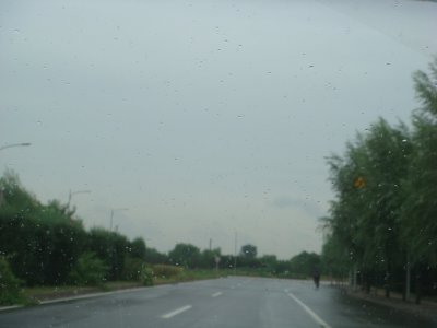 DSC09206.JPG