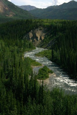 Riley Creek