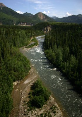 Riley Creek