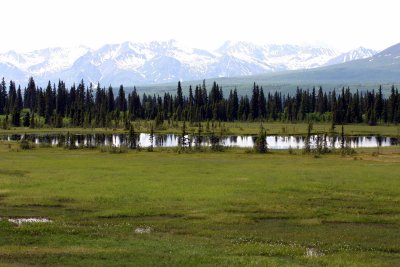 Pond near Kesugi Ridge