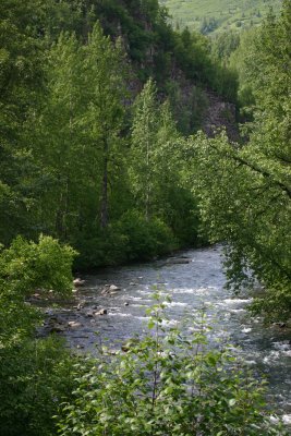 Stream near Talkeentna