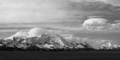 Mckinley-01bw.jpg