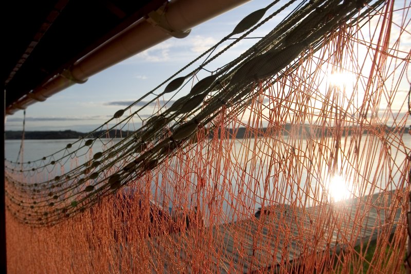 Fishing net